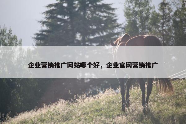 企业营销推广网站哪个好，企业官网营销推广
