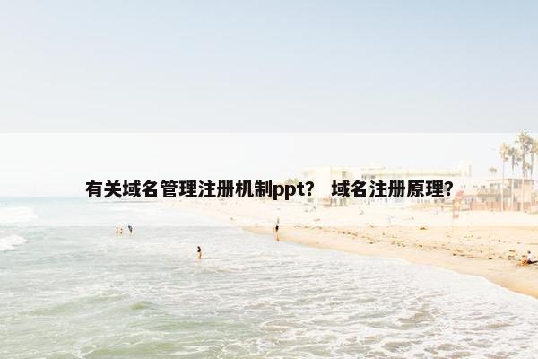 有关域名管理注册机制ppt？ 域名注册原理？
