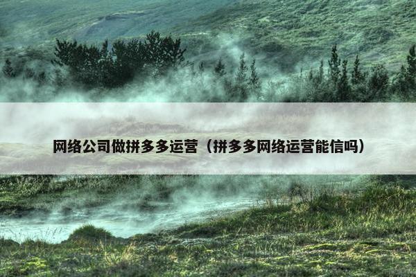 网络公司做拼多多运营（拼多多网络运营能信吗）