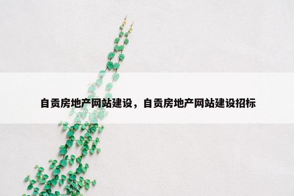 自贡房地产网站建设，自贡房地产网站建设招标