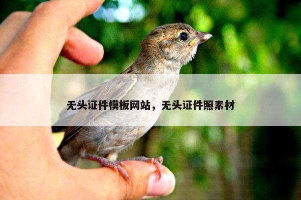 无头证件模板网站，无头证件照素材