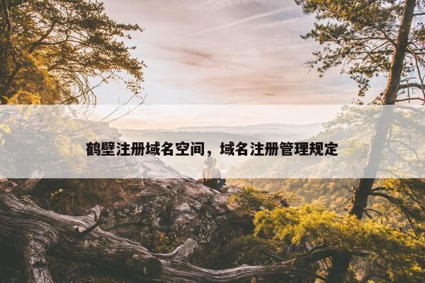 鹤壁注册域名空间，域名注册管理规定