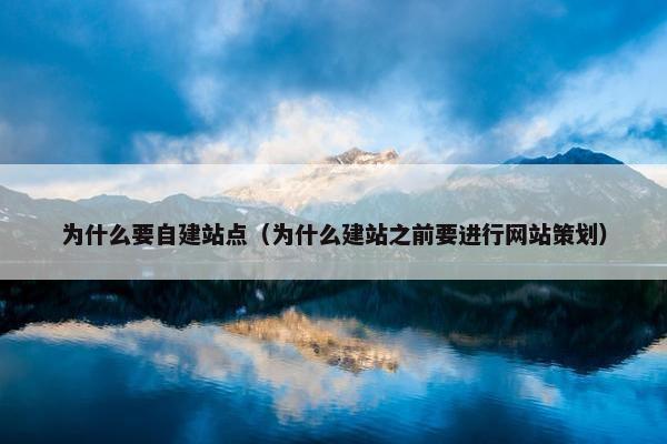 为什么要自建站点（为什么建站之前要进行网站策划）