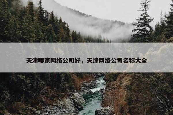 天津哪家网络公司好，天津网络公司名称大全
