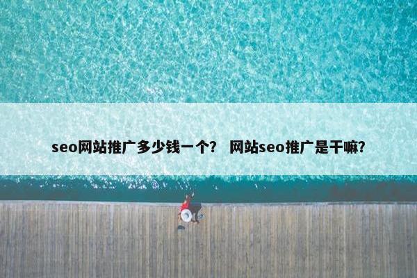 seo网站推广多少钱一个？ 网站seo推广是干嘛？