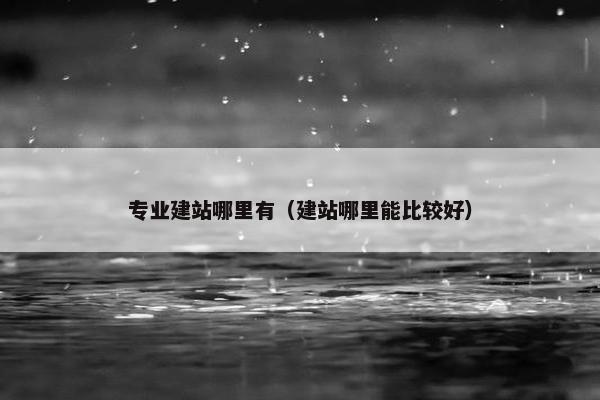 专业建站哪里有（建站哪里能比较好）