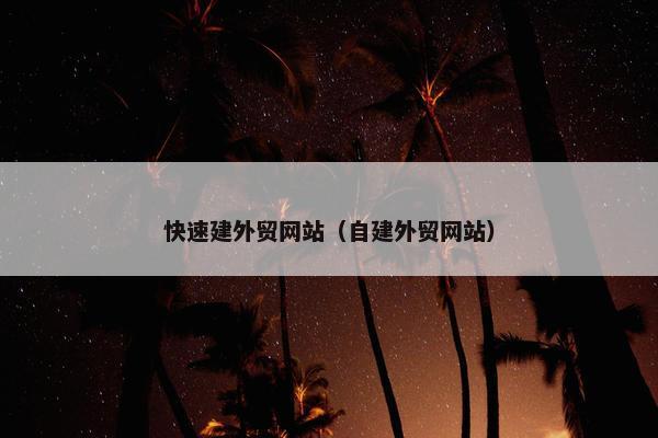 快速建外贸网站（自建外贸网站）