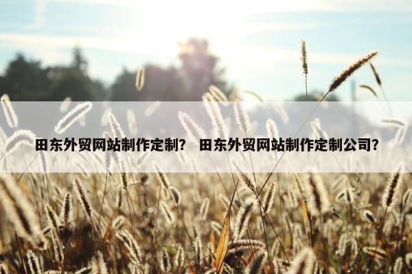 田东外贸网站制作定制？ 田东外贸网站制作定制公司？