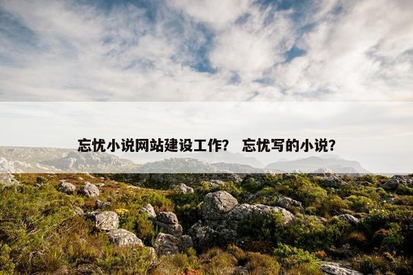 忘忧小说网站建设工作？ 忘忧写的小说？