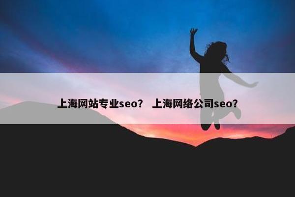 上海网站专业seo？ 上海网络公司seo？