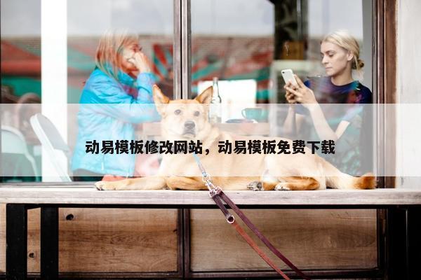 动易模板修改网站，动易模板免费下载