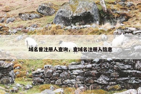 域名曾注册人查询，查域名注册人信息