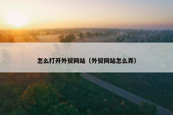 怎么打开外贸网站（外贸网站怎么弄）