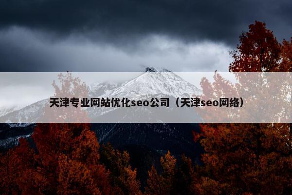 天津专业网站优化seo公司（天津seo网络）