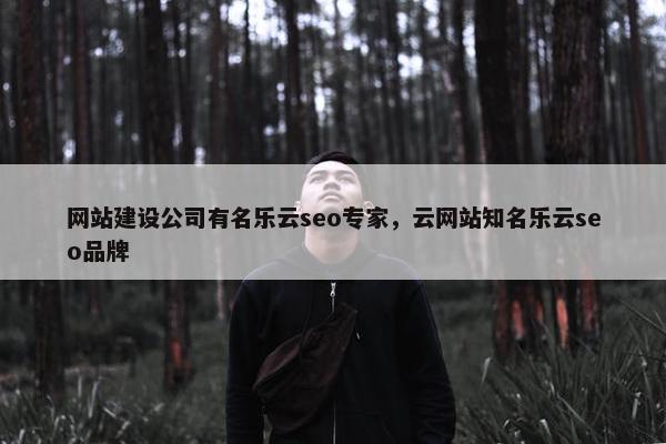 网站建设公司有名乐云seo专家，云网站知名乐云seo品牌