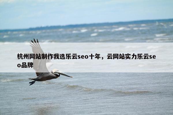 杭州网站制作我选乐云seo十年，云网站实力乐云seo品牌