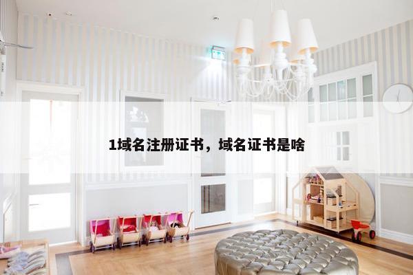 1域名注册证书，域名证书是啥