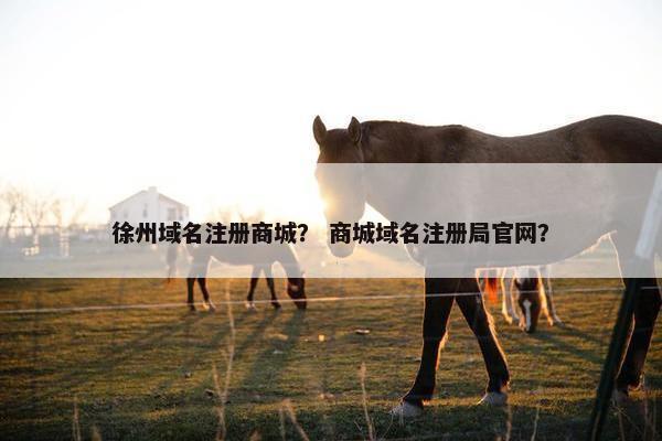 徐州域名注册商城？ 商城域名注册局官网？