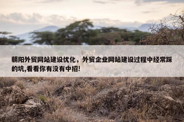 朝阳外贸网站建设优化，外贸企业网站建设过程中经常踩的坑,看看你有没有中招!