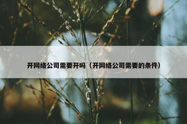 开网络公司需要开吗（开网络公司需要的条件）