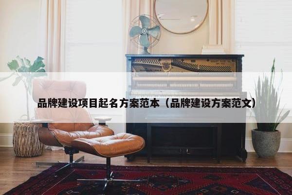 品牌建设项目起名方案范本（品牌建设方案范文）