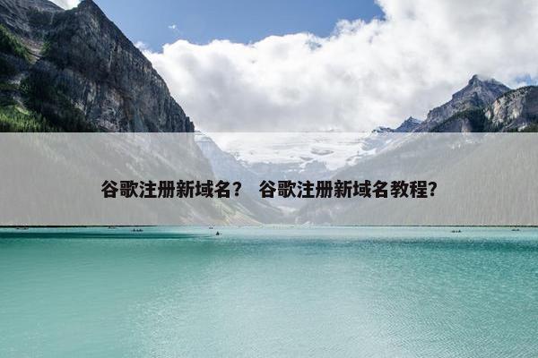 谷歌注册新域名？ 谷歌注册新域名教程？