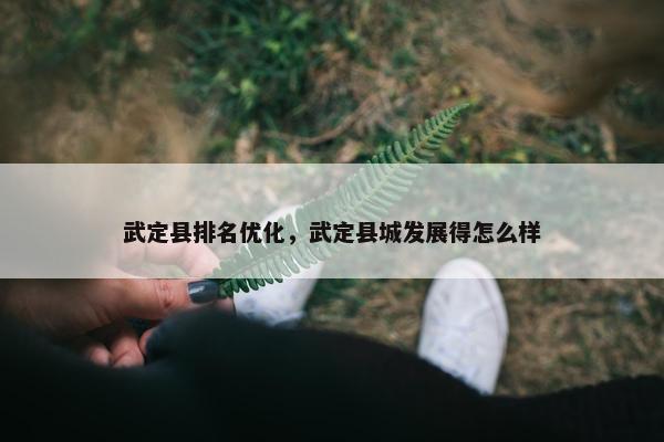 武定县排名优化，武定县城发展得怎么样