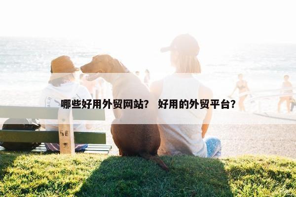 哪些好用外贸网站？ 好用的外贸平台？