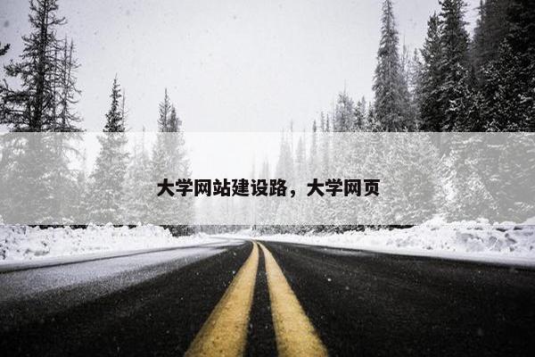大学网站建设路，大学网页