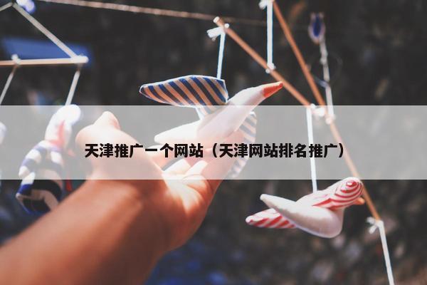天津推广一个网站（天津网站排名推广）