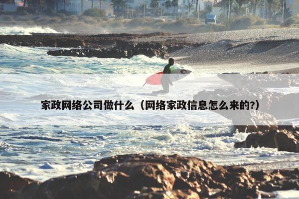家政网络公司做什么（网络家政信息怎么来的?）