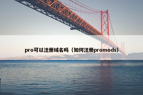 pro可以注册域名吗（如何注册promods）
