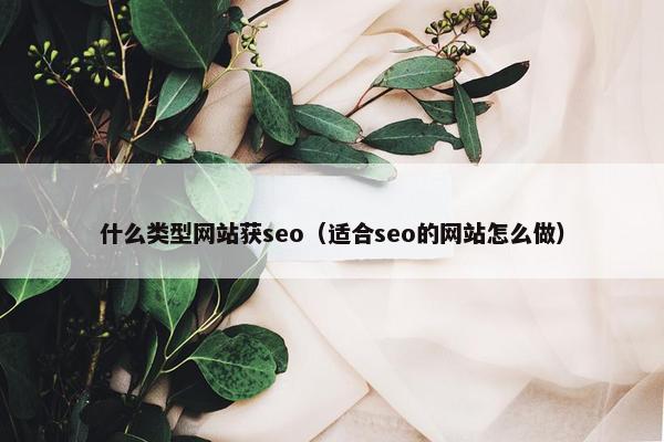什么类型网站获seo（适合seo的网站怎么做）