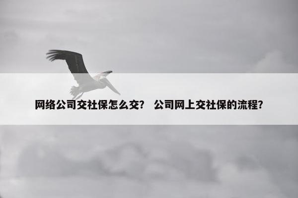 网络公司交社保怎么交？ 公司网上交社保的流程？