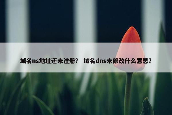 域名ns地址还未注册？ 域名dns未修改什么意思？
