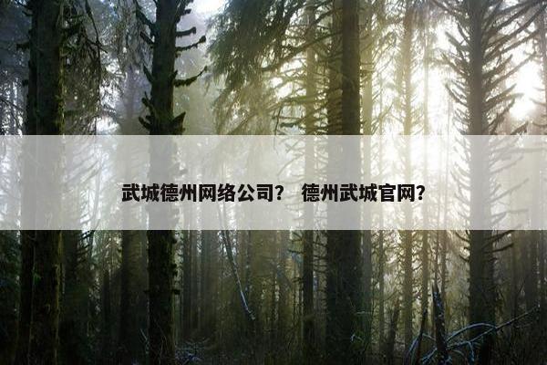 武城德州网络公司？ 德州武城官网？
