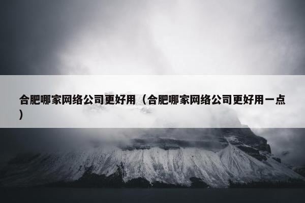 合肥哪家网络公司更好用（合肥哪家网络公司更好用一点）