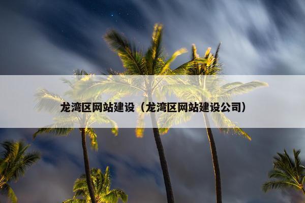 龙湾区网站建设（龙湾区网站建设公司）