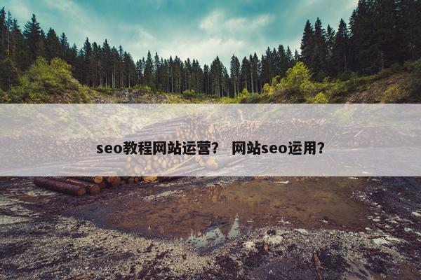 seo教程网站运营？ 网站seo运用？