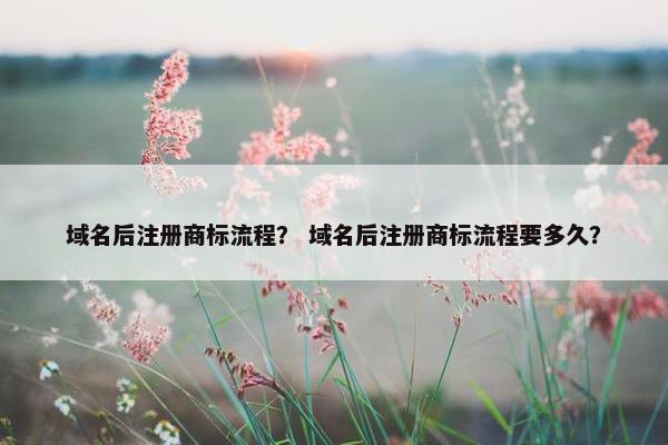 域名后注册商标流程？ 域名后注册商标流程要多久？