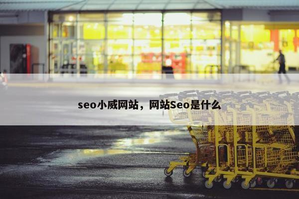 seo小威网站，网站Seo是什么