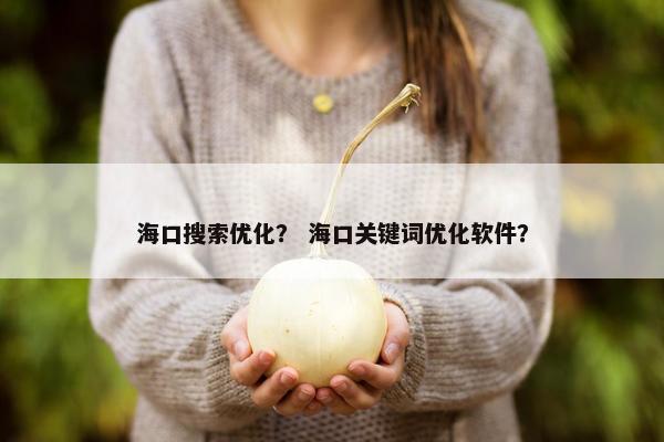 海口搜索优化？ 海口关键词优化软件？