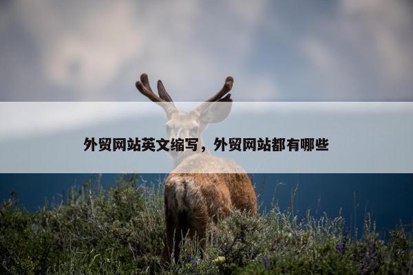 外贸网站英文缩写，外贸网站都有哪些