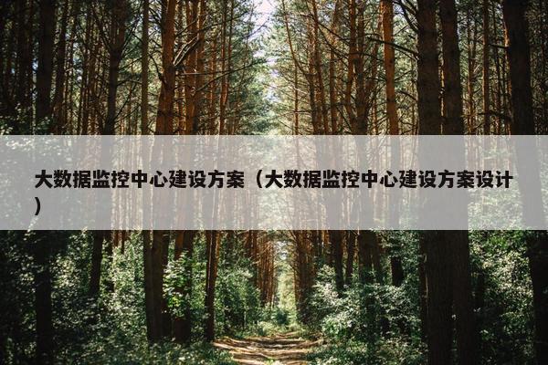 大数据监控中心建设方案（大数据监控中心建设方案设计）