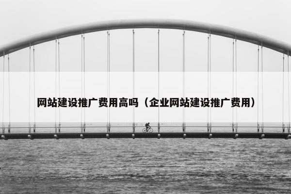 网站建设推广费用高吗（企业网站建设推广费用）