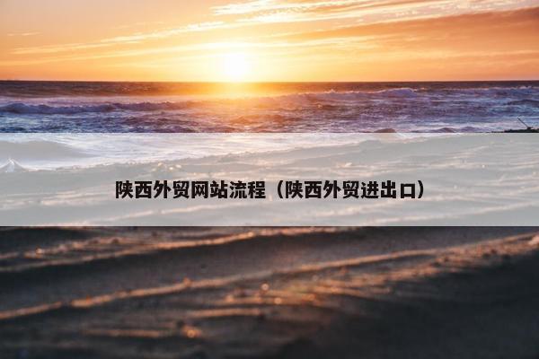 陕西外贸网站流程（陕西外贸进出口）