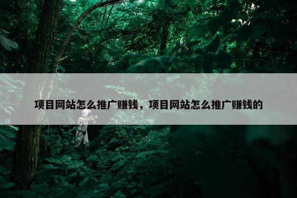 项目网站怎么推广赚钱，项目网站怎么推广赚钱的