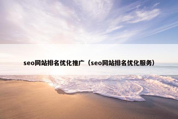 seo网站排名优化推广（seo网站排名优化服务）